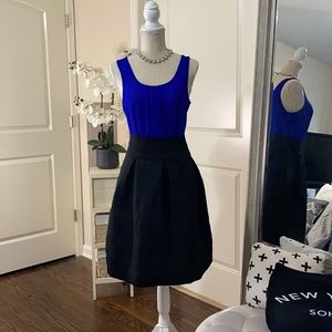 New York & Company Flare Skirt